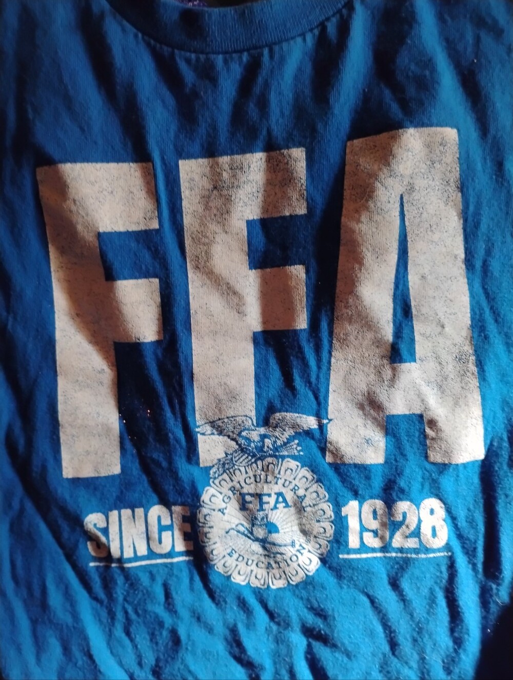 Gildan FFA Since 1928 Future Farmers Of America Small Blue Graphic Tshirt Unisex